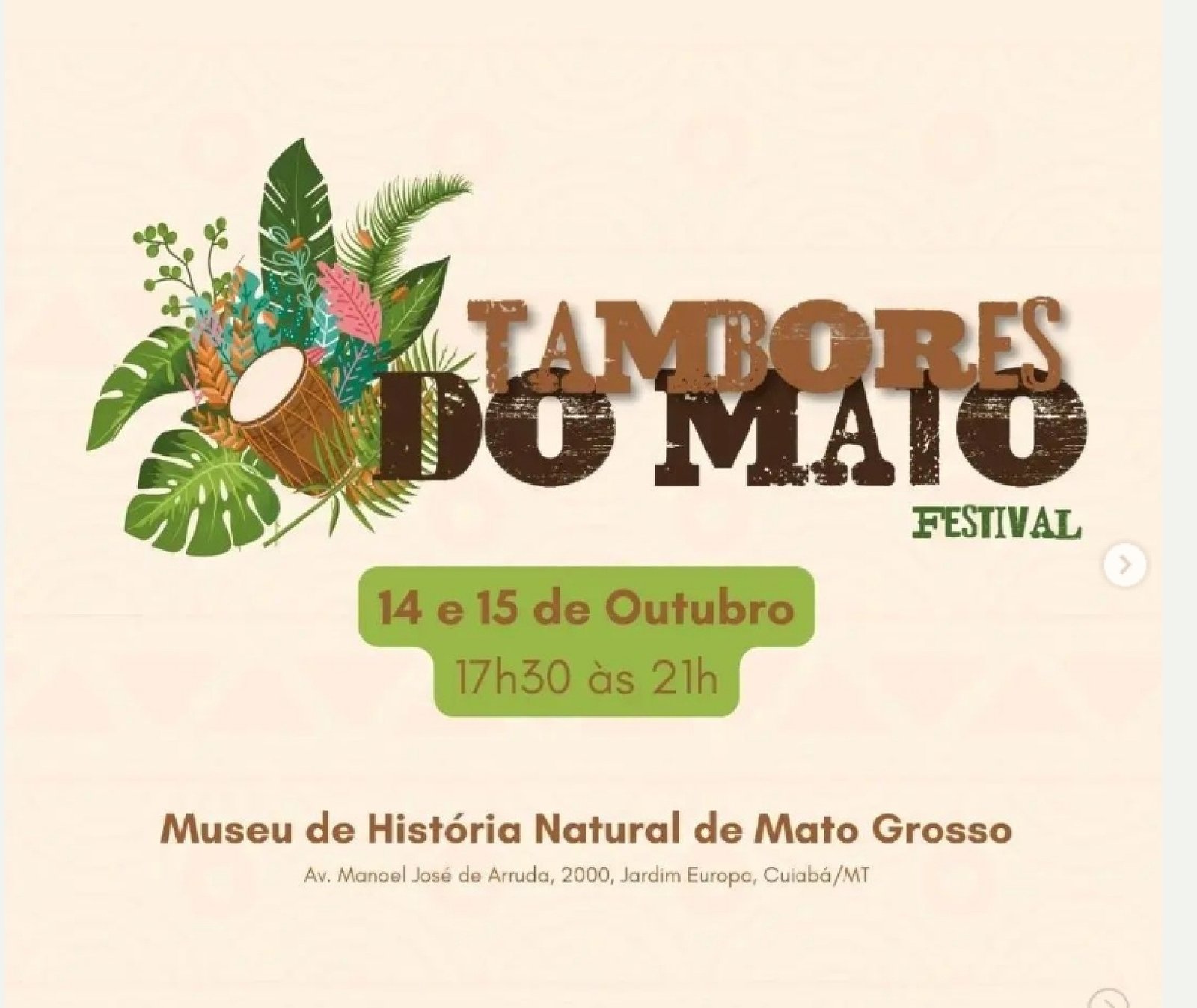 Tambores do Mato